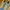 Adidas Streetwear Casual Sneakers Wanita yellow blue photo 4