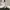 Converse Streetwear Casual Sneakers Wanita white cream photo 1