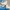 HOKA Sportswear Heels Wanita Pink Blue