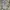 Vintage Casual Jeans Pria gray photo 1