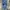 Levi's Vintage Casual Jeans Pria blue photo 2