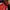 Asics Vintage Y2K Jersey Pria Red Black