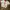 Nike Vintage Y2K Jersey Pria white red photo 2