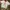 Nike Vintage Y2K Jersey Pria white red photo 1