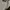 Polo Ralph Lauren Casual Polo shirt Pria white photo 5