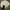 Polo Ralph Lauren Casual Polo shirt Pria white photo 1