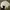 Polo Ralph Lauren Casual Polo Shirt Pria White