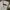 Polo Ralph Lauren Casual Polo shirt Pria white photo 4