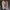 VANS Luxury Futurist Sneakers Pria white photo 4