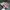 Adidas Luxury Futurist Sneakers Wanita pink photo 2