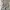 Old Navy Casual Setelan Kids White