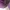 Uniqlo Casual Sweater Wanita purple photo 3
