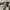 Polo Ralph Lauren Casual Polo shirt Pria white photo 4