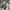 Vintage Y2K Jeans Pria blue photo 4