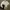 Polo Ralph Lauren Casual Polo shirt Pria white photo 1