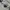 Polo Ralph Lauren Casual Polo shirt Pria white photo 4