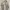 Hush Puppies Casual Sweater Wanita white photo 1