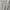 Global Work Y2K Casual Formal shirt Pria white photo 5