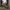 Converse Vintage Streetwear Casual shoe Pria cream photo 2
