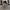 Converse Vintage Streetwear Casual shoe Pria cream photo 3