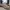 Converse Vintage Streetwear Casual shoe Pria cream photo 1