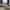 Converse Vintage Streetwear Casual Shoe Pria Cream