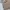 Spao Vintage Casual Harrington jacket Pria tan brown photo 6