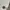Diesel Minimalist Handbag Wanita White