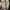 Nike Streetwear Sportswear Sneakers Pria white photo 5