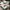Nike Streetwear Sportswear Sneakers Pria white photo 1