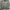 Adidas Sportswear Track jacket Pria gray photo 1