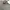 Adidas Sportswear Track jacket Pria gray photo 2