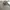 Adidas Sportswear Track Jacket Pria Gray
