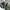 A Bathing Ape Streetwear Casual Sweatpants & Joggers Pria multicolor photo 8