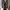 Missoni Luxury Evening dress Wanita gold black photo 1