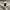 Stussy Streetwear Luxury Formal shirt Pria multicolor photo 6