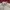 Stussy Streetwear Luxury Formal shirt Pria multicolor photo 2