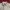 Stussy Streetwear Luxury Formal Shirt Pria Multicolor