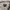 Stussy Streetwear Luxury Formal shirt Pria multicolor photo 5