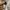 Stussy Streetwear Luxury Formal shirt Pria multicolor photo 7