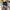 Burberry Luxury Casual Sweatpants & Joggers Wanita multicolor photo 4
