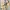 Burberry Luxury Casual Sweatpants & Joggers Wanita multicolor photo 5