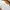 Mossy Oak Skater Casual T-shirt Pria white photo 3