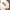 Mossy Oak Skater Casual T-shirt Pria white photo 2