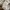 Ben Davis Streetwear Sweatshirt Pria gray photo 7