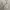 Ben Davis Streetwear Sweatshirt Pria gray photo 4
