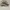 Salomon Casual Sneakers Pria cream photo 1