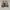 Salomon Casual Sneakers Pria cream photo 3