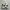 Adidas Casual Sneakers Pria black cream photo 1