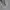 Grooverhyme Casual Sweater Pria gray photo 6